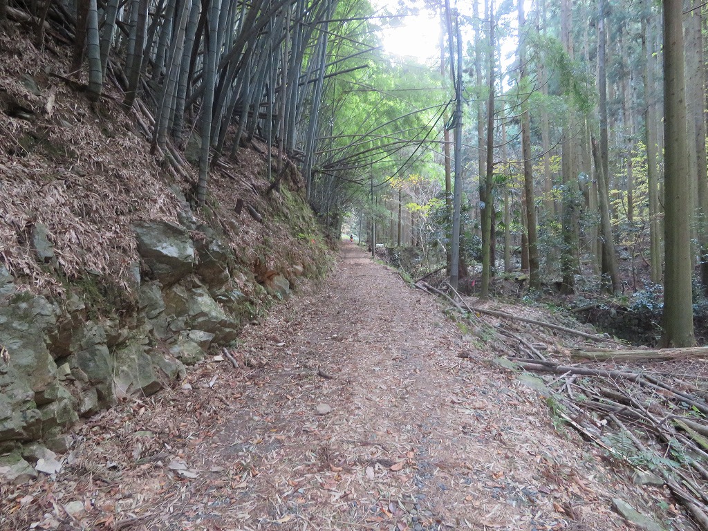 f:id:poseidonttzr:20200212132449j:plain f:id:poseidonttzr:20200212132449j:plain