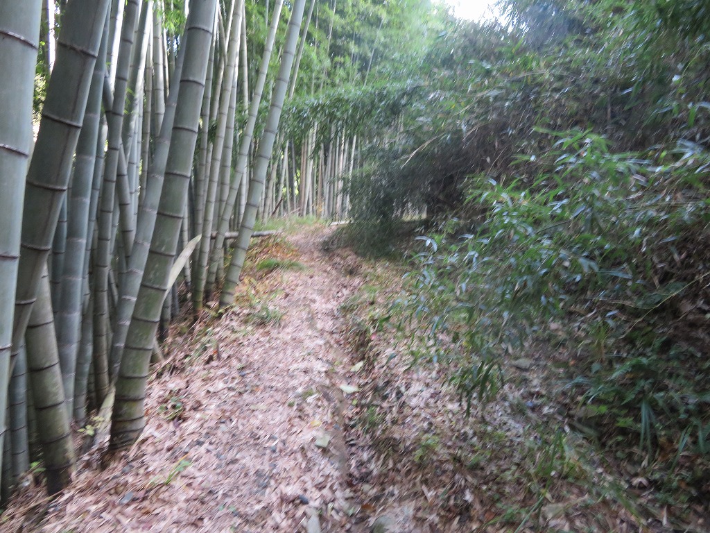 f:id:poseidonttzr:20200212133127j:plain f:id:poseidonttzr:20200212133127j:plain