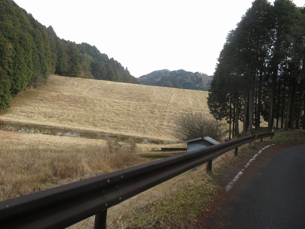 f:id:poseidonttzr:20200216171527j:plain f:id:poseidonttzr:20200216171527j:plain