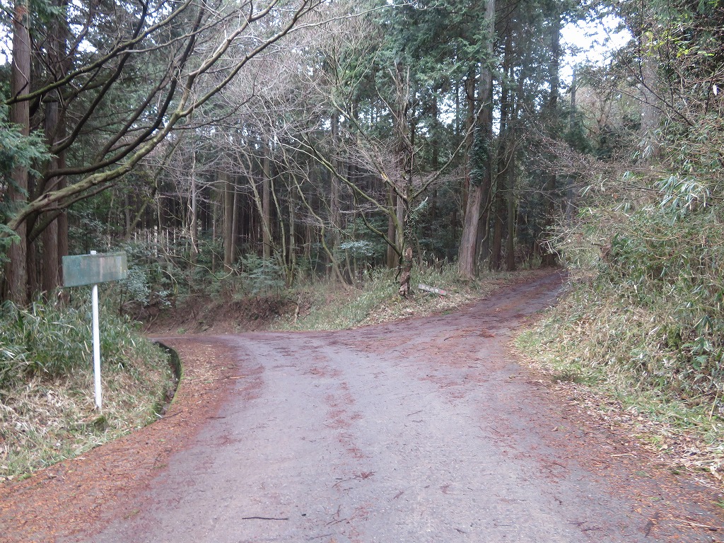 f:id:poseidonttzr:20200216172349j:plain f:id:poseidonttzr:20200216172349j:plain