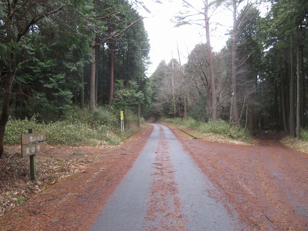 f:id:poseidonttzr:20200216172612j:plain f:id:poseidonttzr:20200216172612j:plain