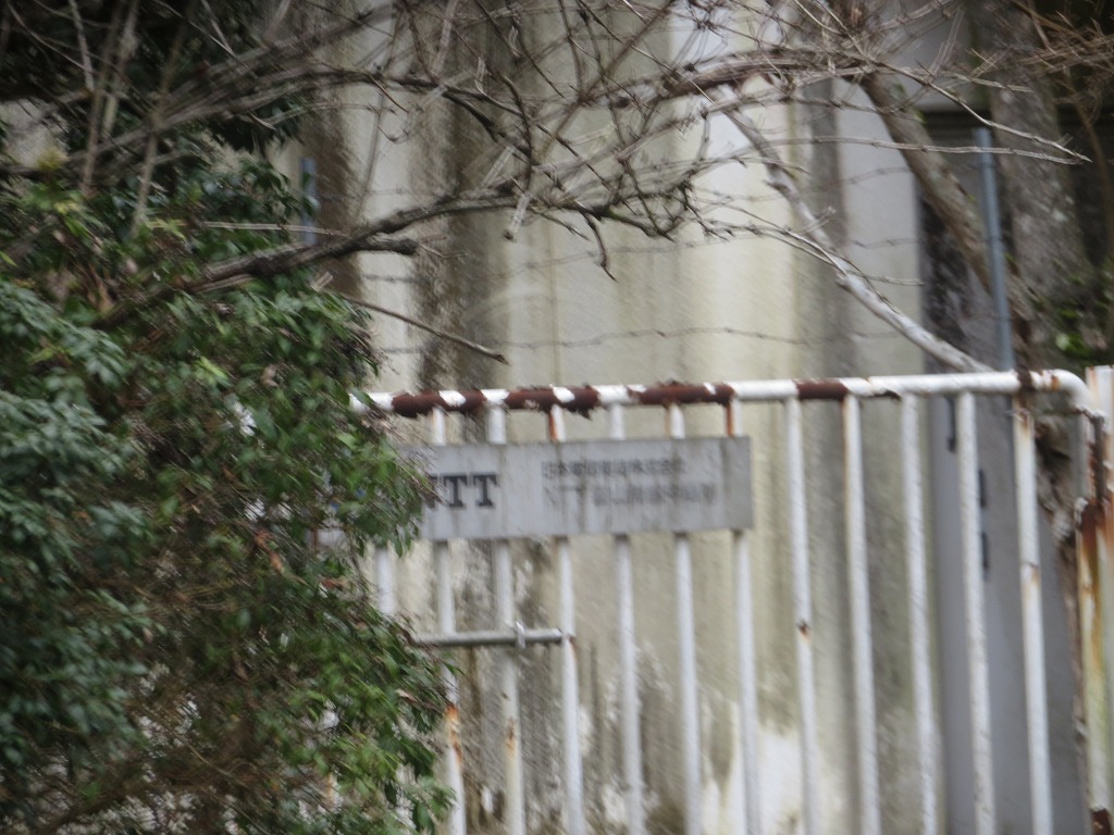 f:id:poseidonttzr:20200218161325j:plain f:id:poseidonttzr:20200218161325j:plain