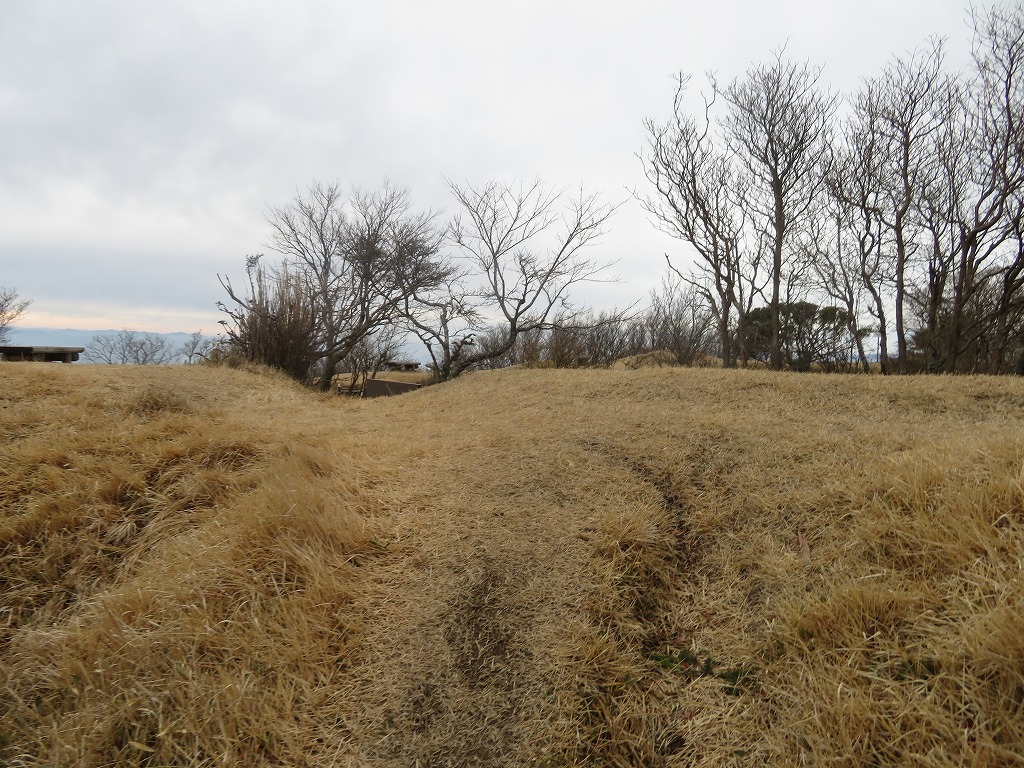 f:id:poseidonttzr:20200218162616j:plain f:id:poseidonttzr:20200218162616j:plain