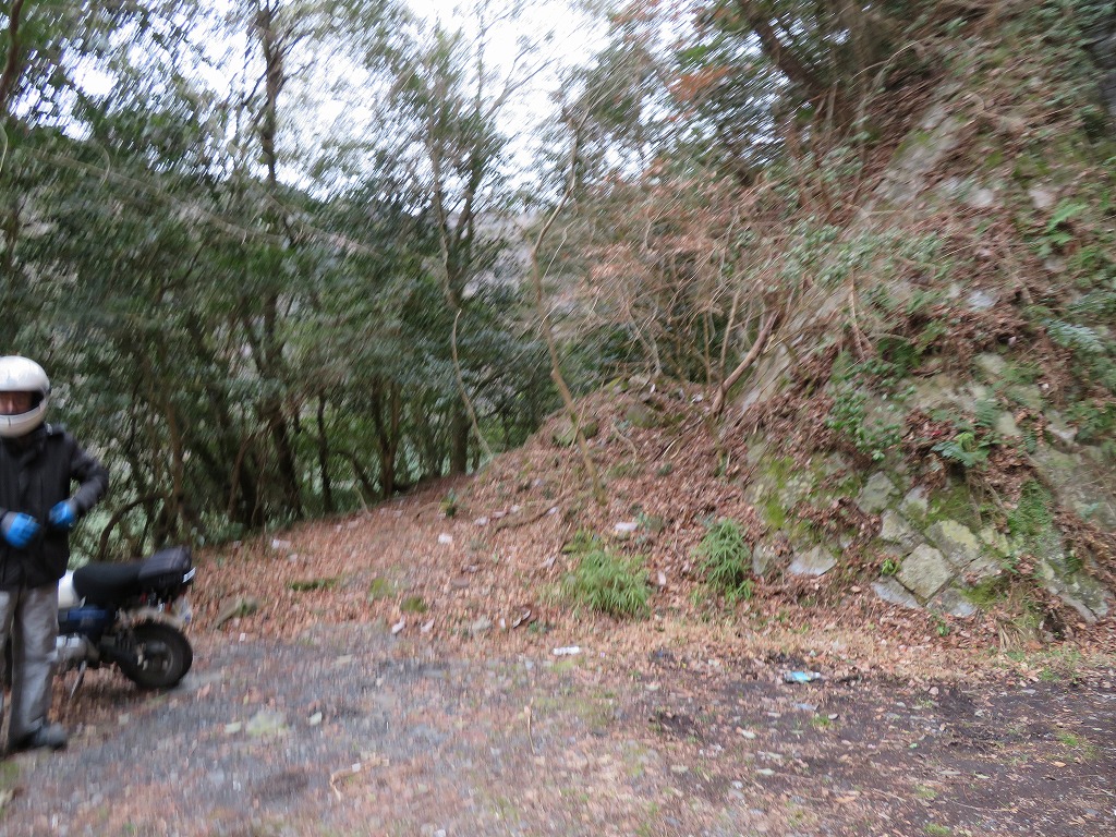 f:id:poseidonttzr:20200307145911j:plain f:id:poseidonttzr:20200307145911j:plain