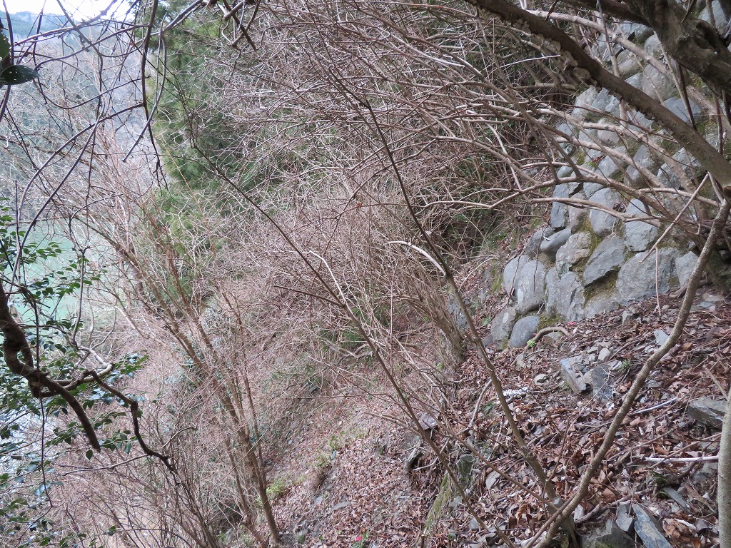 f:id:poseidonttzr:20200307153637j:plain f:id:poseidonttzr:20200307153637j:plain