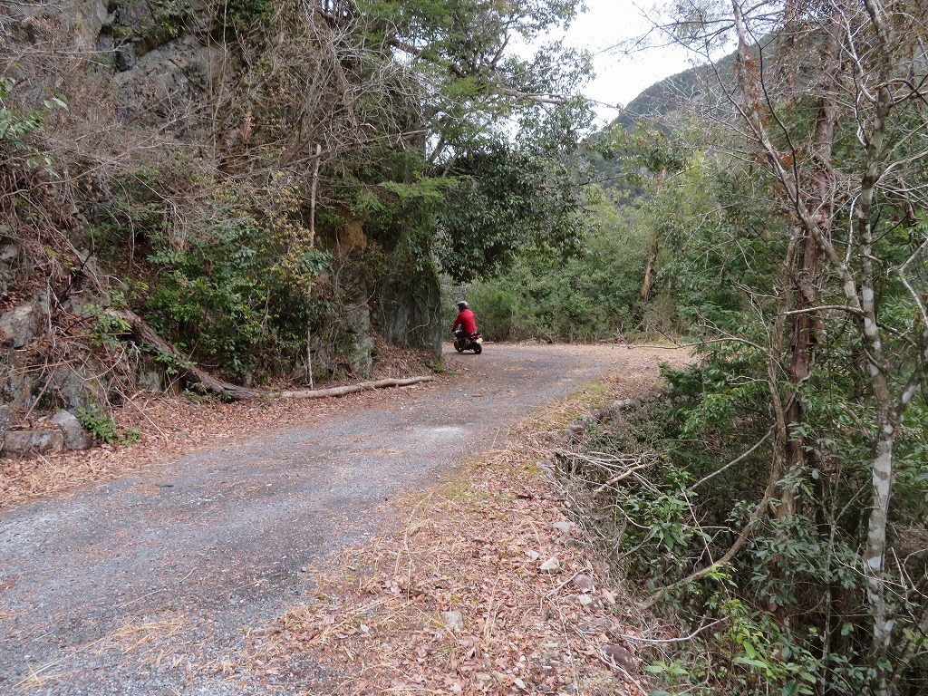 f:id:poseidonttzr:20200311113608j:plain f:id:poseidonttzr:20200311113608j:plain