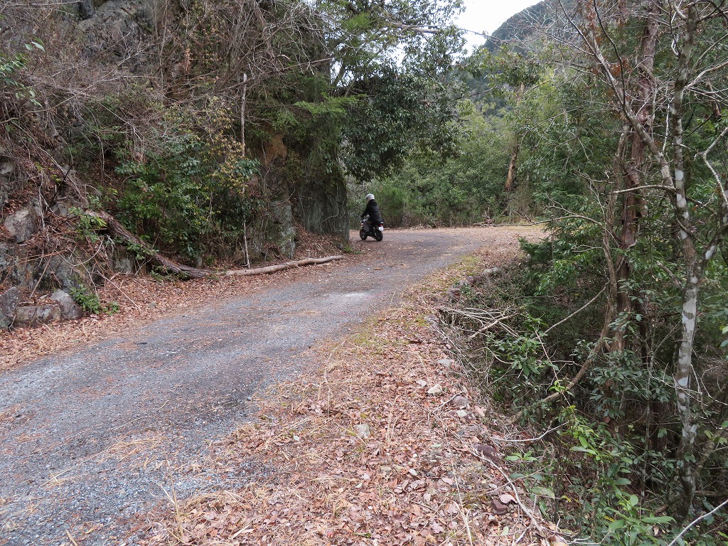 f:id:poseidonttzr:20200311113637j:plain f:id:poseidonttzr:20200311113637j:plain