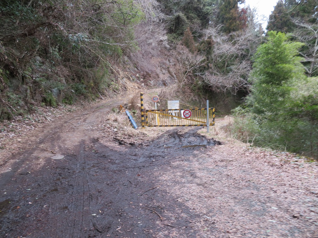 f:id:poseidonttzr:20200311113910j:plain f:id:poseidonttzr:20200311113910j:plain