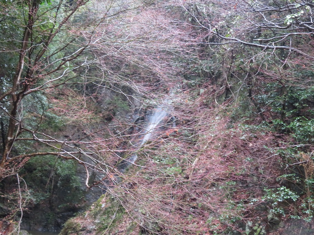 f:id:poseidonttzr:20200312114453j:plain f:id:poseidonttzr:20200312114453j:plain