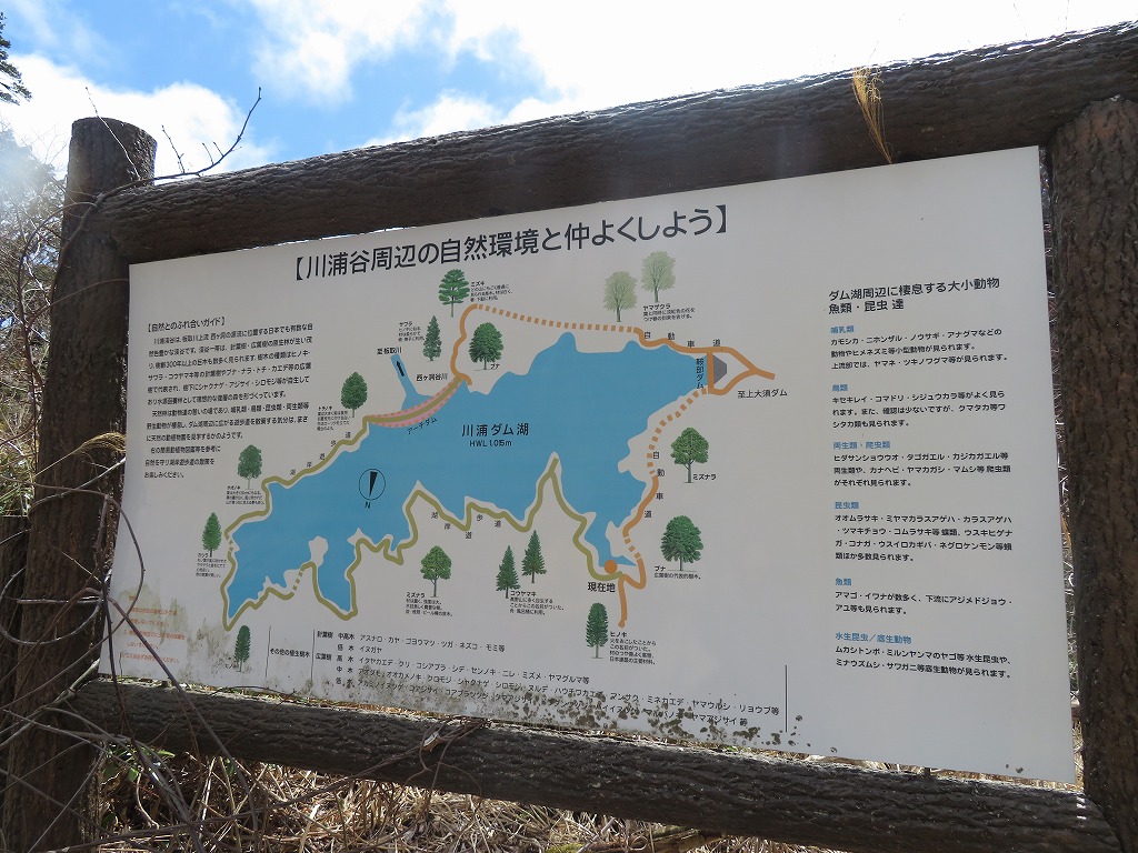 f:id:poseidonttzr:20200505133927j:plain