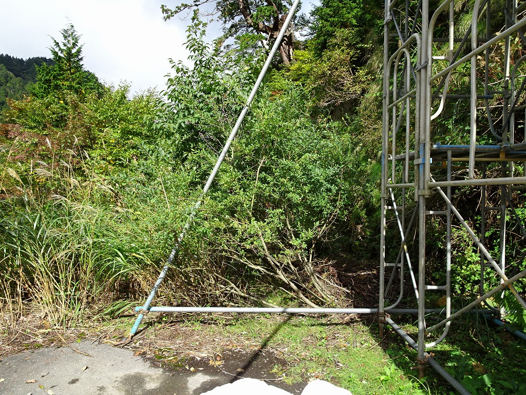 f:id:poseidonttzr:20200512124500j:plain