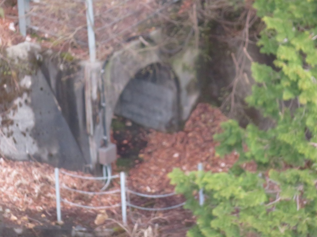 f:id:poseidonttzr:20200512130805j:plain