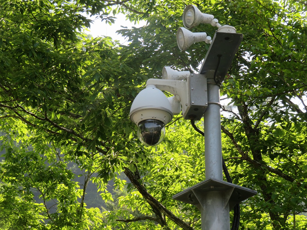 f:id:poseidonttzr:20200616133729j:plain f:id:poseidonttzr:20200616133729j:plain