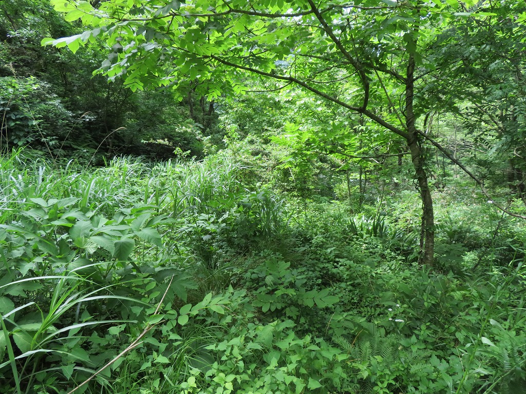 f:id:poseidonttzr:20200626182715j:plain f:id:poseidonttzr:20200626182715j:plain