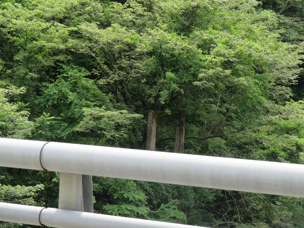 f:id:poseidonttzr:20200626183815j:plain f:id:poseidonttzr:20200626183815j:plain