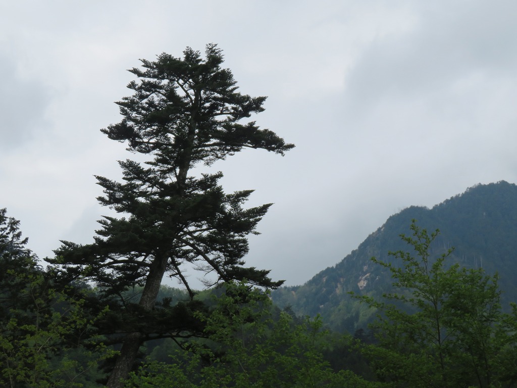 f:id:poseidonttzr:20200706132141j:plain