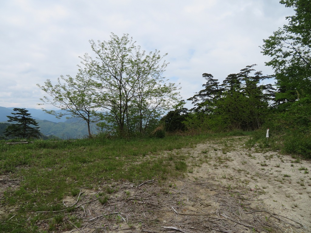 f:id:poseidonttzr:20200706132409j:plain