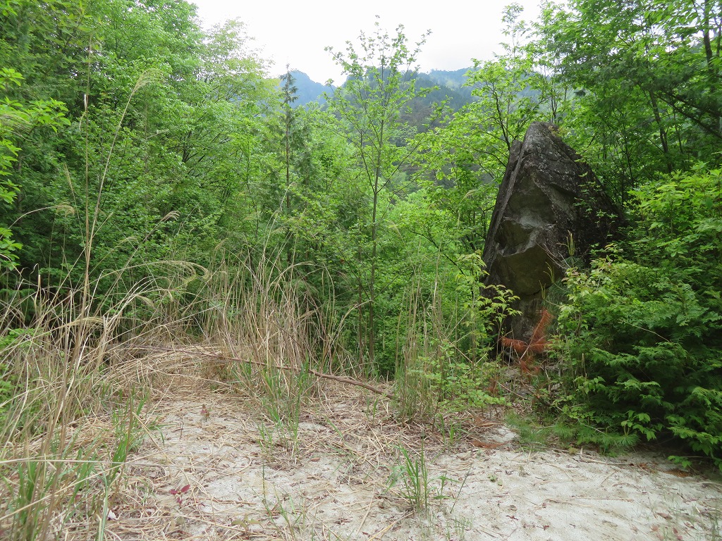 f:id:poseidonttzr:20200706133923j:plain