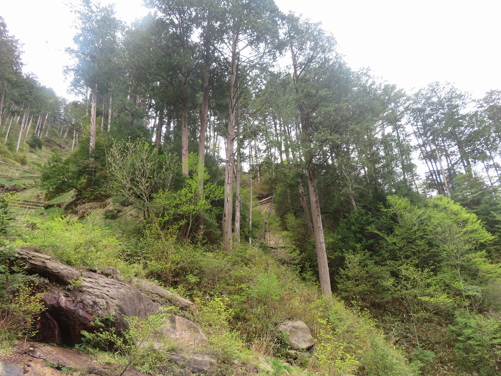 f:id:poseidonttzr:20200710060702j:plain