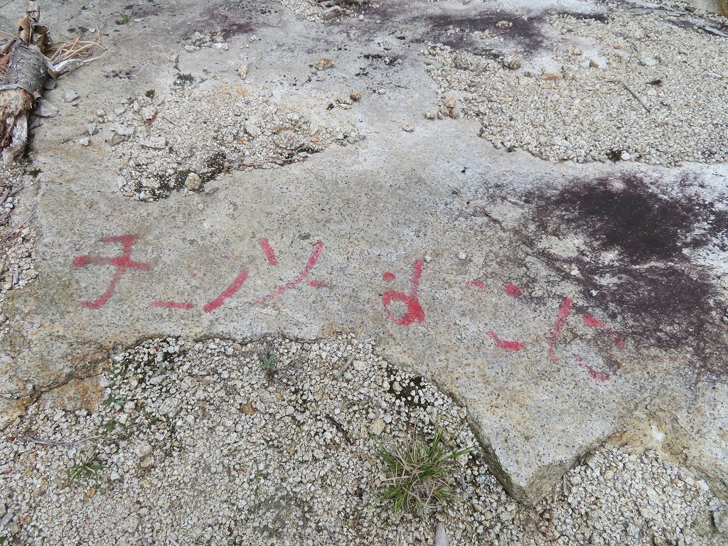 f:id:poseidonttzr:20200710061302j:plain