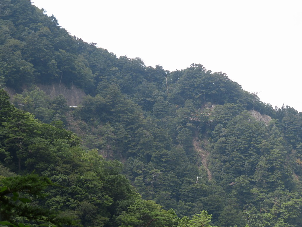 f:id:poseidonttzr:20200826142803j:plain