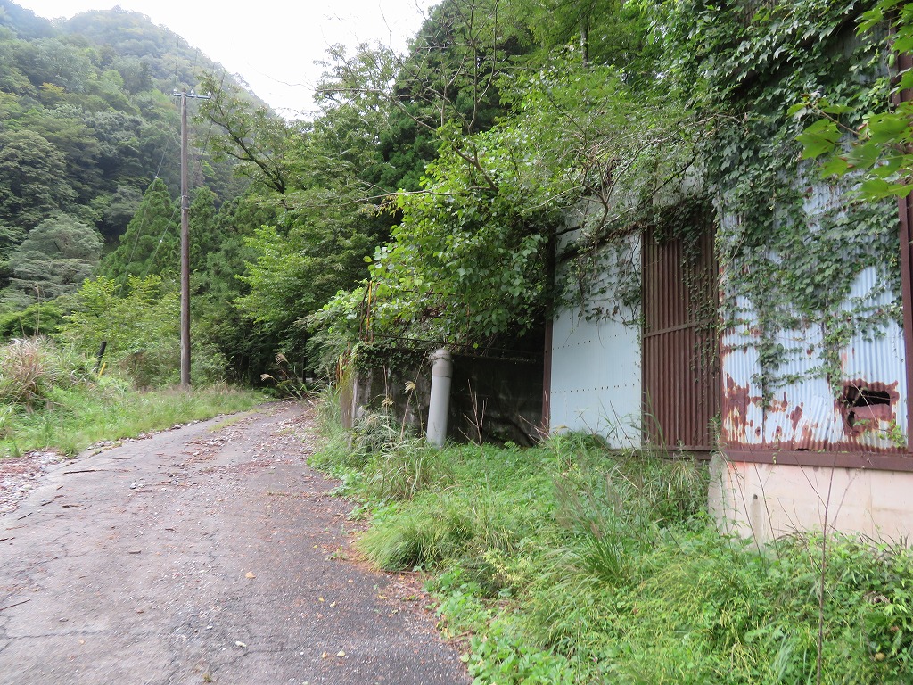 f:id:poseidonttzr:20201009050140j:plain f:id:poseidonttzr:20201009050140j:plain