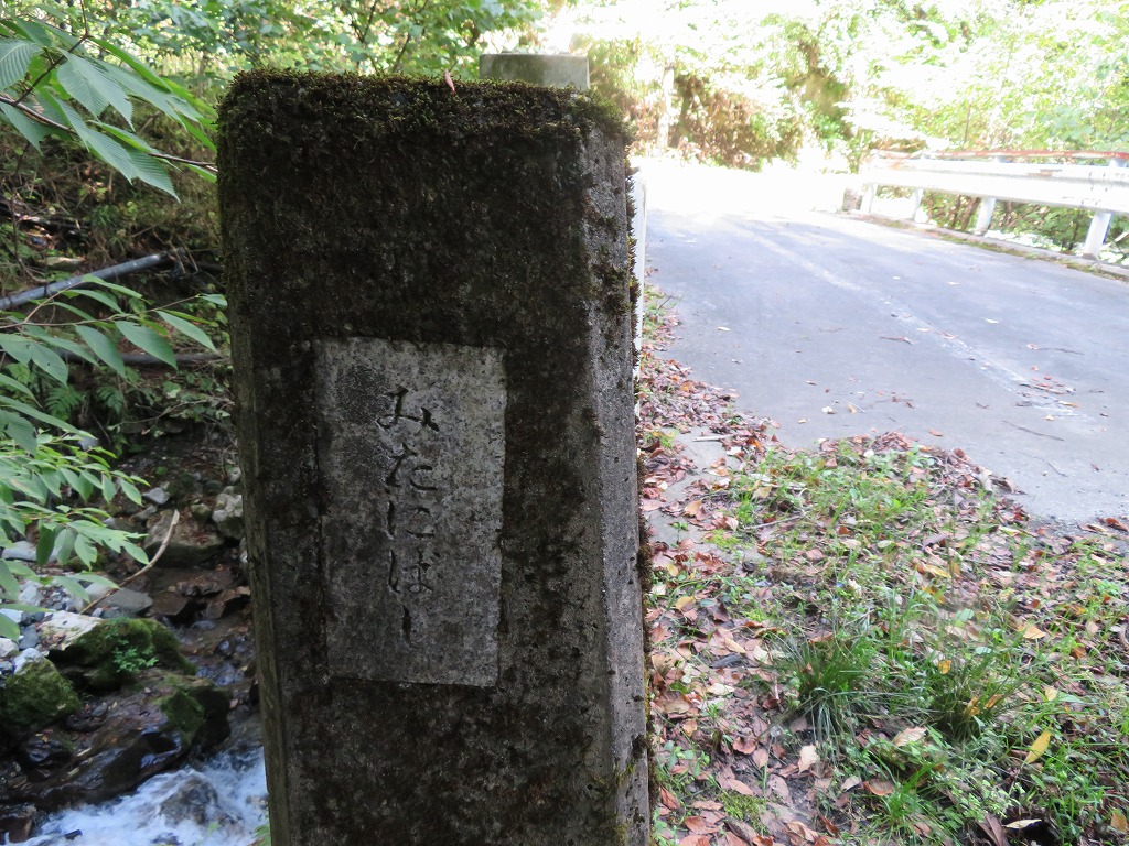 f:id:poseidonttzr:20201009050921j:plain f:id:poseidonttzr:20201009050921j:plain