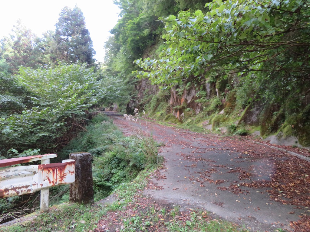 f:id:poseidonttzr:20201009051335j:plain f:id:poseidonttzr:20201009051335j:plain