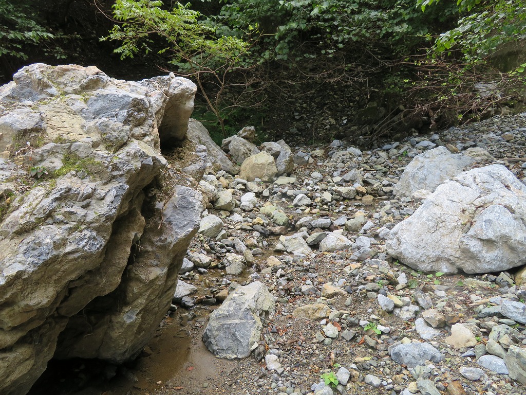 f:id:poseidonttzr:20201009051727j:plain f:id:poseidonttzr:20201009051727j:plain