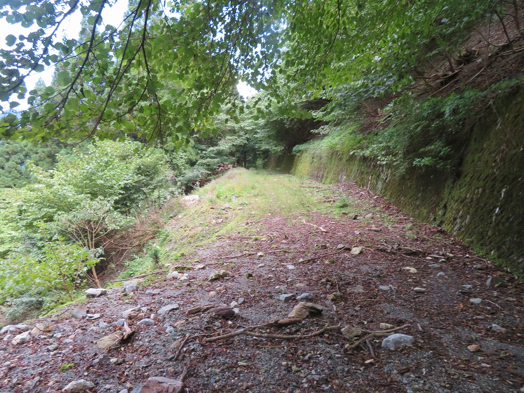 f:id:poseidonttzr:20201009051834j:plain f:id:poseidonttzr:20201009051834j:plain