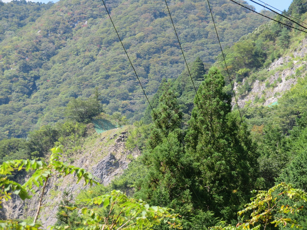 f:id:poseidonttzr:20201009054256j:plain f:id:poseidonttzr:20201009054256j:plain