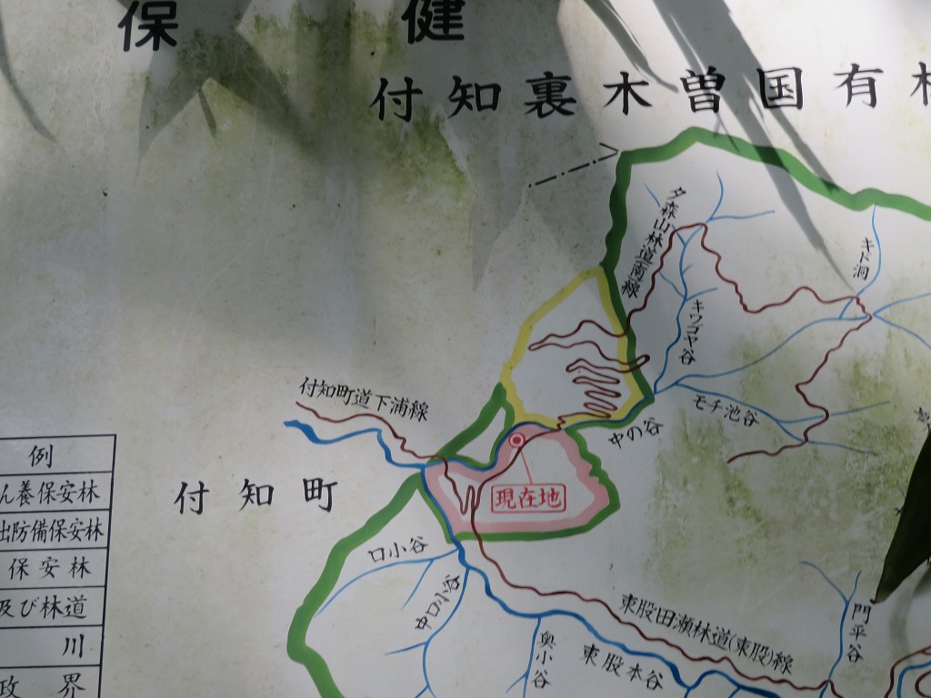 f:id:poseidonttzr:20201012145329j:plain f:id:poseidonttzr:20201012145329j:plain