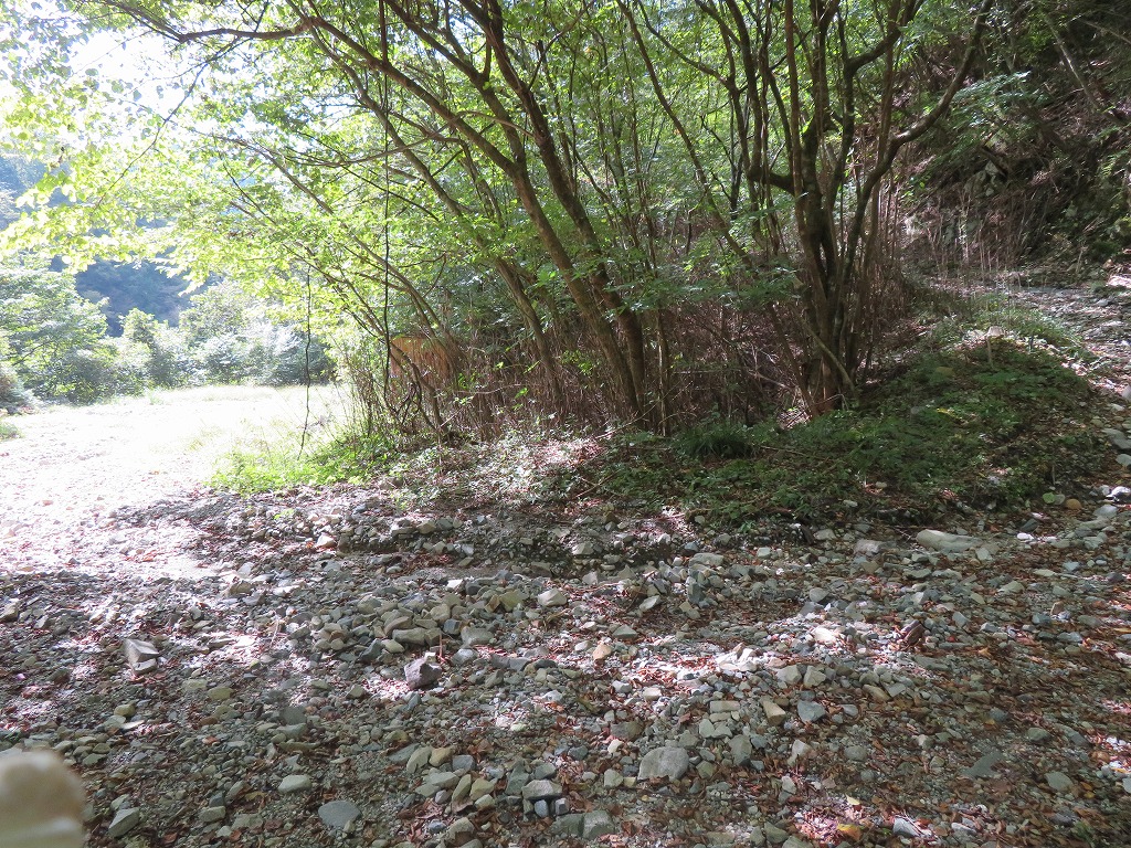 f:id:poseidonttzr:20201014144443j:plain f:id:poseidonttzr:20201014144443j:plain