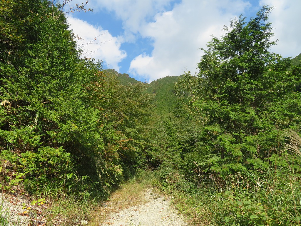 f:id:poseidonttzr:20201014150553j:plain f:id:poseidonttzr:20201014150553j:plain