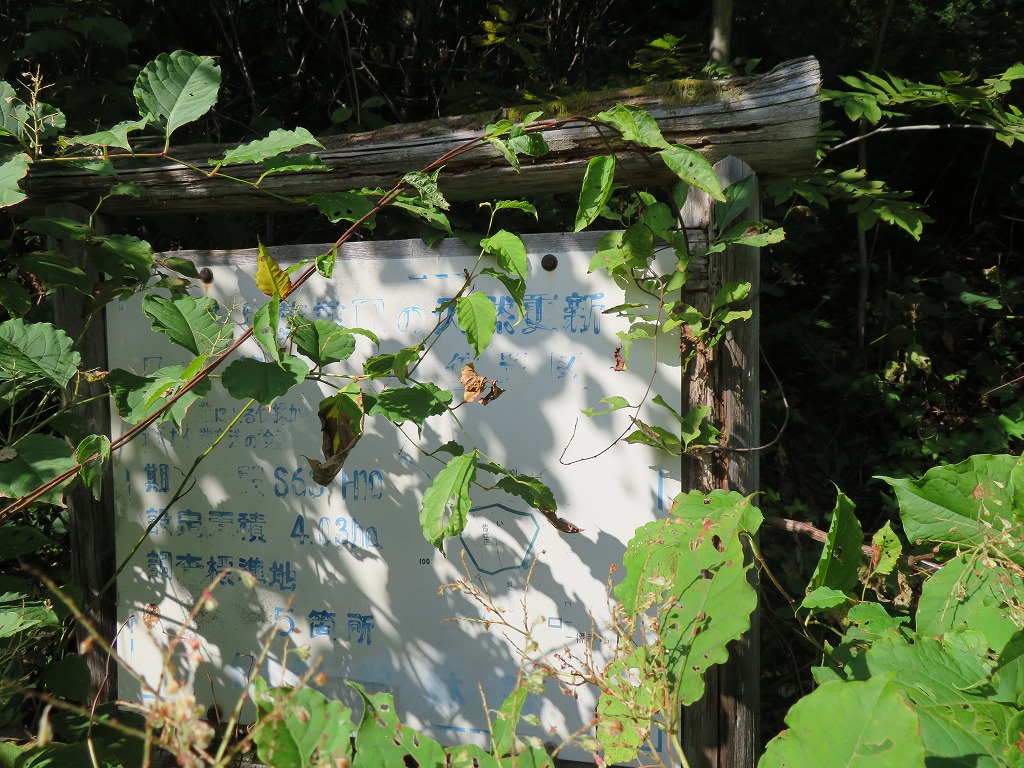 f:id:poseidonttzr:20201016033954j:plain f:id:poseidonttzr:20201016033954j:plain