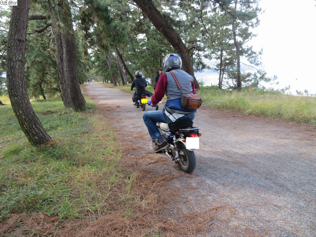 f:id:poseidonttzr:20201117155334j:plain