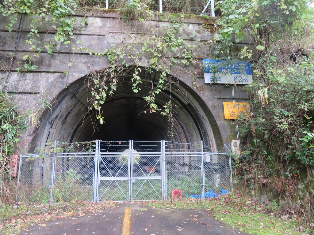 f:id:poseidonttzr:20201204135059j:plain