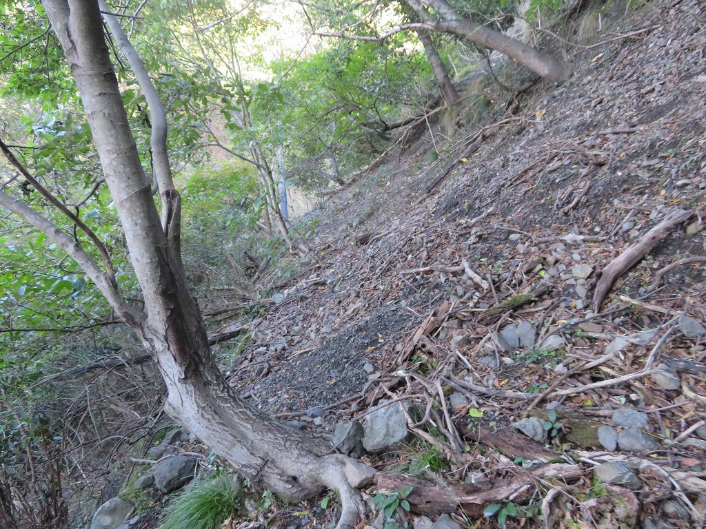 f:id:poseidonttzr:20201205163823j:plain