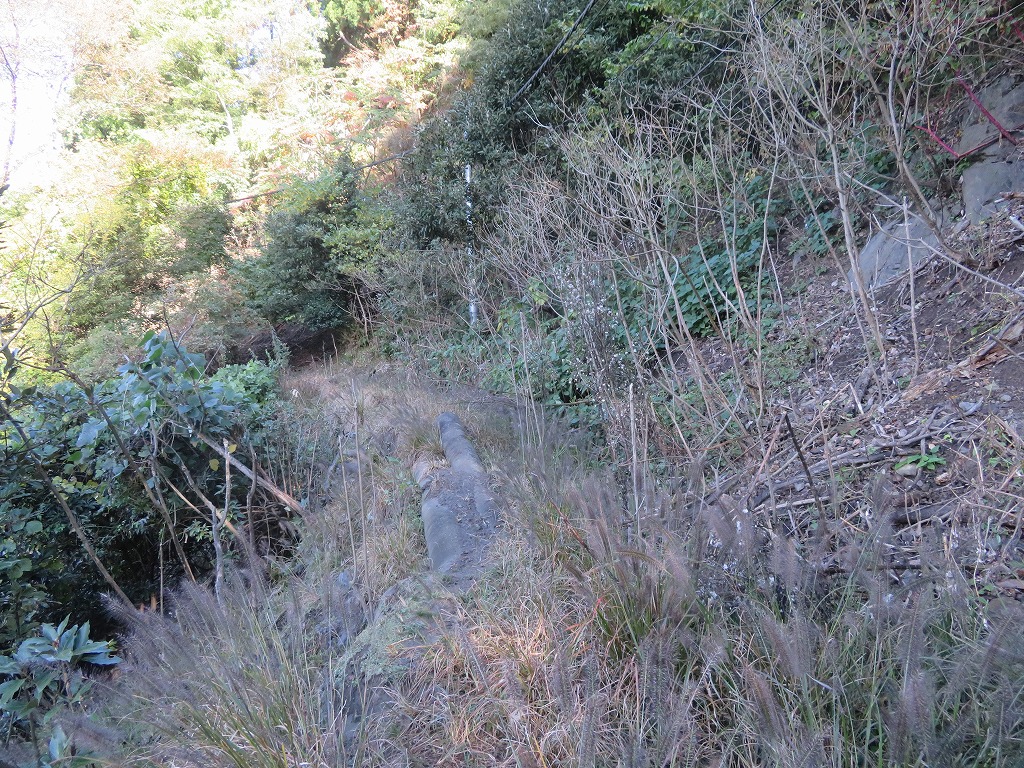 f:id:poseidonttzr:20201207130715j:plain