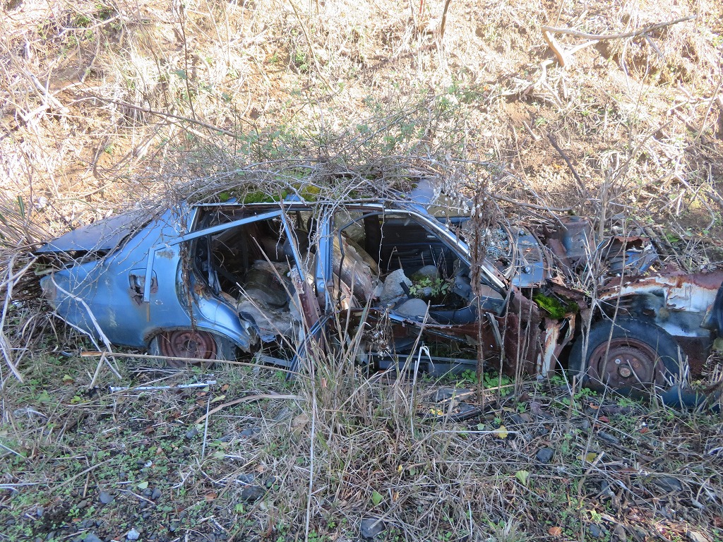 f:id:poseidonttzr:20201207131003j:plain