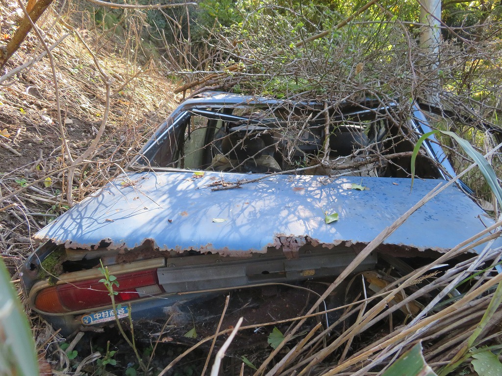 f:id:poseidonttzr:20201207131241j:plain