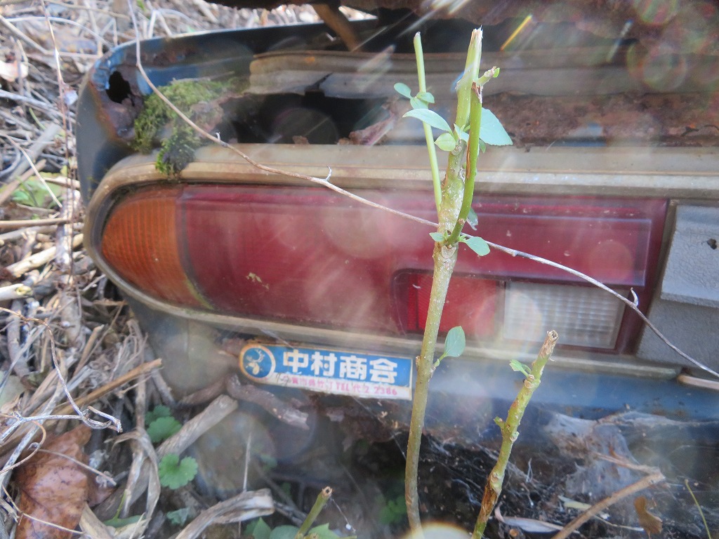 f:id:poseidonttzr:20201207131312j:plain