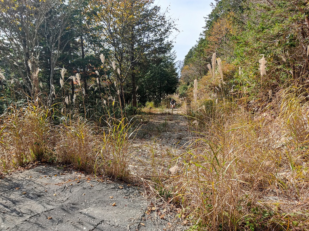 f:id:poseidonttzr:20210104053230j:plain