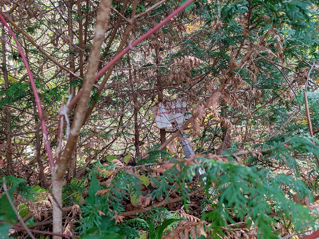 f:id:poseidonttzr:20210104053607j:plain