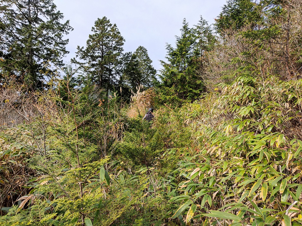 f:id:poseidonttzr:20210104060358j:plain