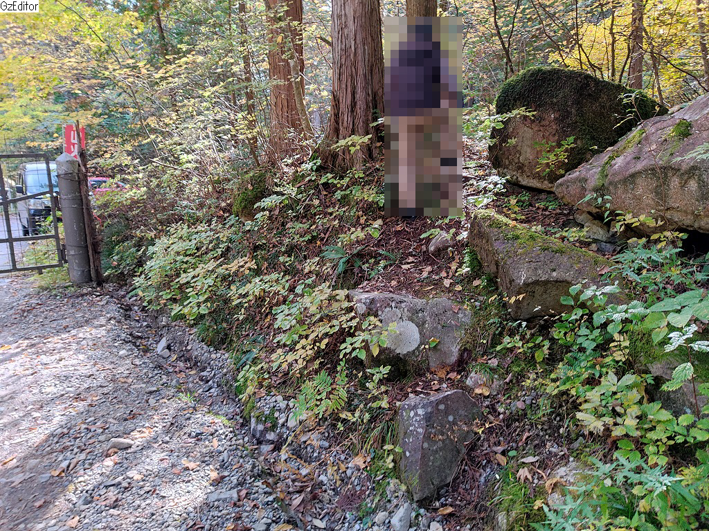 f:id:poseidonttzr:20210106140456j:plain