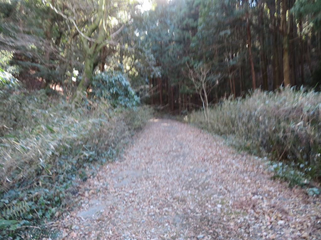 f:id:poseidonttzr:20210112061640j:plain