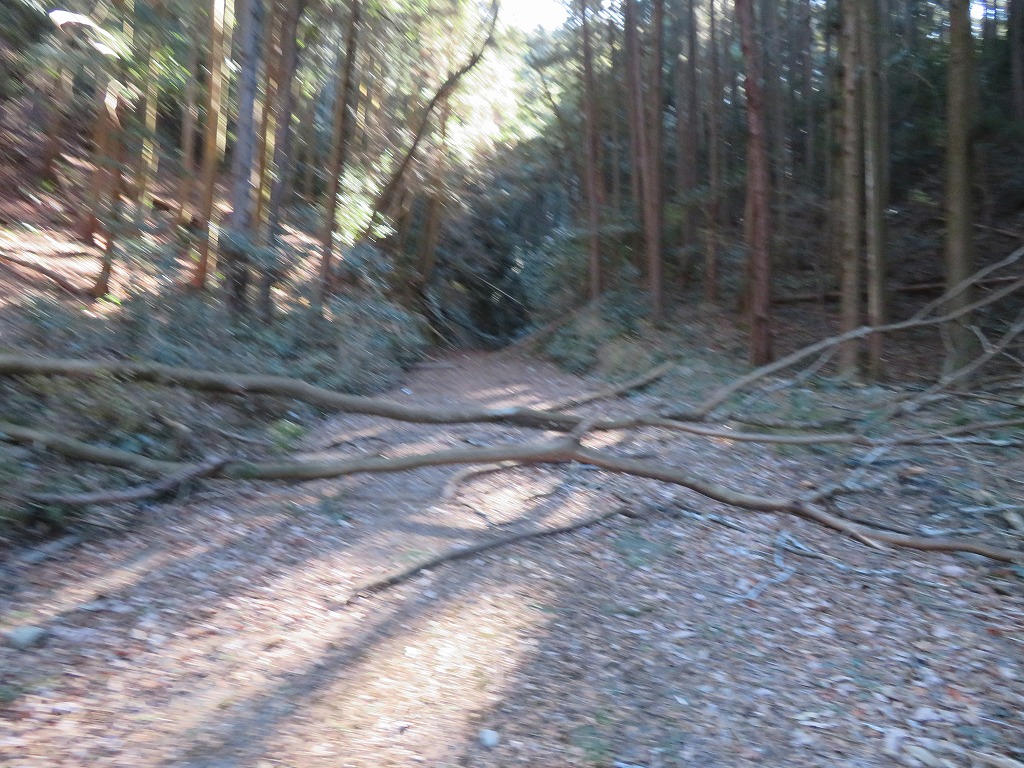 f:id:poseidonttzr:20210112061737j:plain