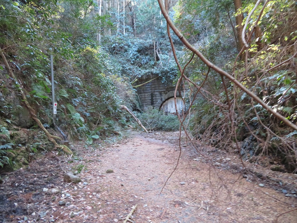 f:id:poseidonttzr:20210112062247j:plain