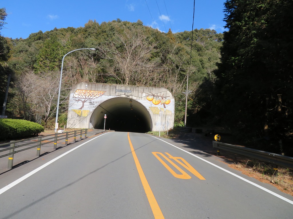 f:id:poseidonttzr:20210114133742j:plain